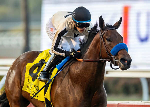 Pesi Shroff-saddled Psychic Star for feature in MJ Scindia Trophy
