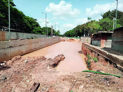BBMP cuts trees in a jiffy, but ‘drags feet on work’