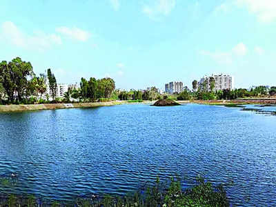 Rs 1.73-crore revival has put life right back in lake