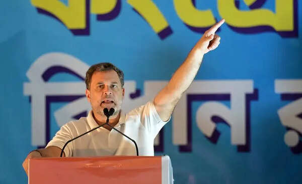 RaGa targets Didi, TMC hits back with ‘feeding dogs’ jibe