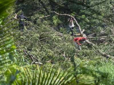 Aarey forest row: MMRC says it has chopped 2,141 trees to carry out construction activities