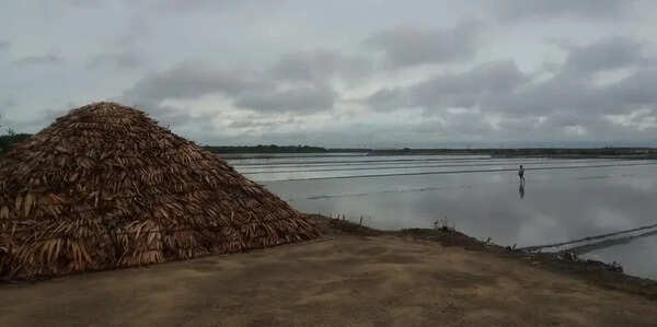 Unseasonal rain halts salt production in Vedaranyam