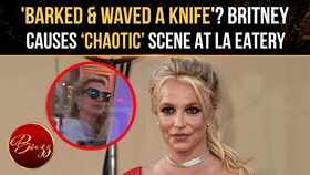 Britney Spears Accused Of Barking, Yelling & Waving Knife During Chaotic Dinner Outing In LA
