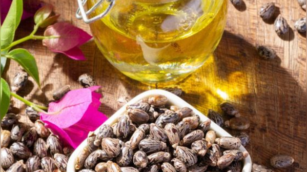 Castor hair oil for winters