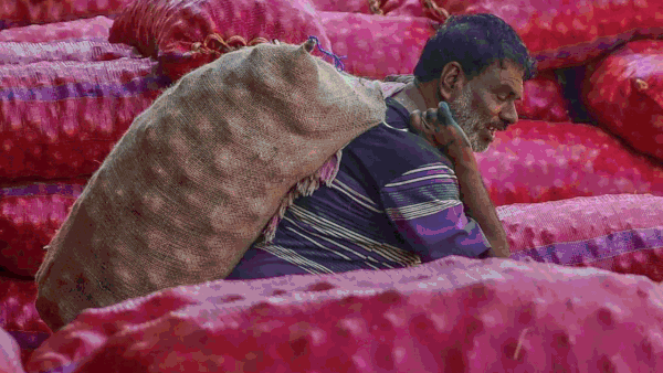Eye on Lok Sabha polls? Centre lifts 5-month ban on onion exports