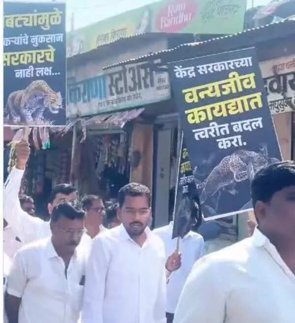 Ahilyanagar farmers urge PM Modi to act on rising leopard threat
