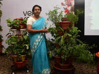 Creating vertical gardens that fit tight urban spaces 