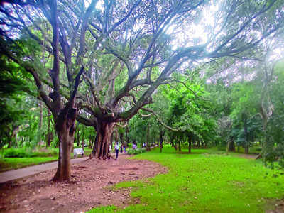 Check... check... branch check at Cubbon Park