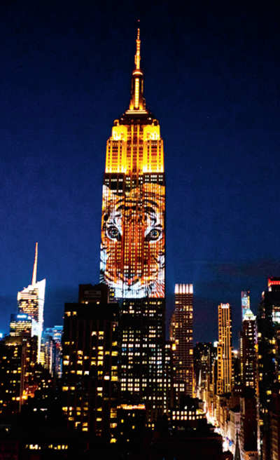 Empire State display shines light on endangered animals