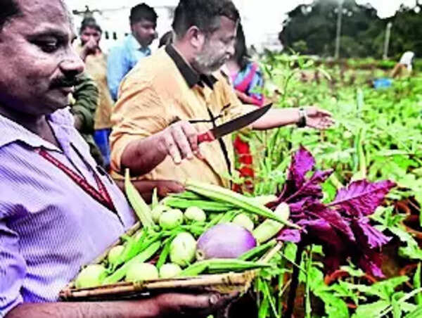 In a first in state, agriculture department to telecast internal meets live