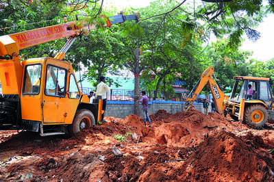 BBMP to relocate 52 trees facing the axe