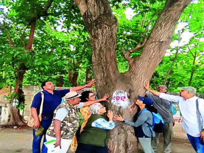 Healthy trees at risk; citizens call for reassessment
