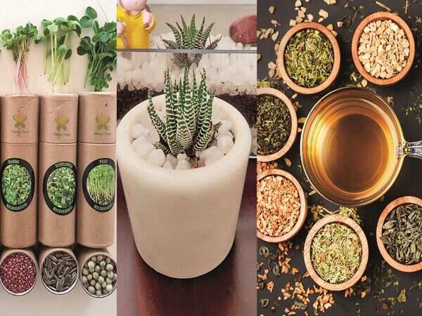 Corporate gifting now focuses on the health and wellness of employees
