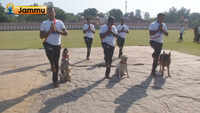 Watch: Dog squad of BSF performs yoga on 5th International Yoga Day 