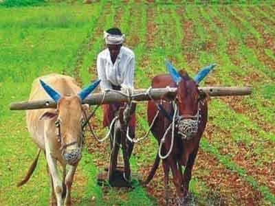 Maharashtra govt to frame guidelines for farmers' loan waiver