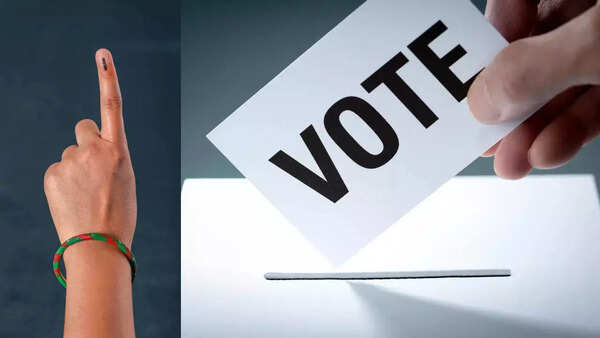 Lok Sabha election: Focus on jobs, education, crimes & health in crucial Dhar fight