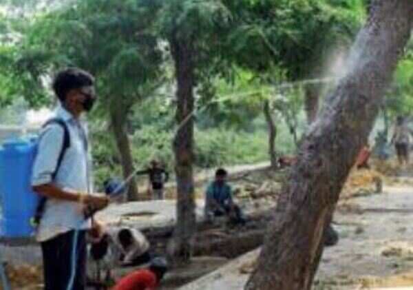 Green lungs walking: Thousands of trees to make way for infra projects in Delhi