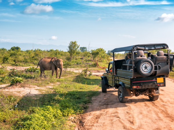 Kaziranga to halt jeep safari from May 25 as monsoon nears