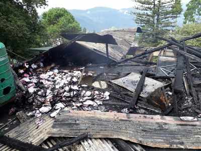 Violence erupts in Darjeeling as mob burns down tourist information centre