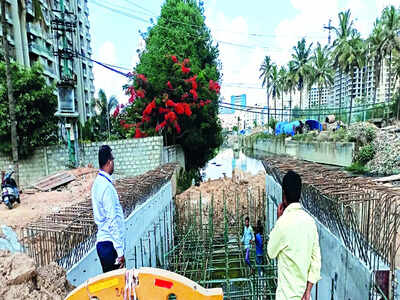 Mahadevapura all set to arch over choppy water