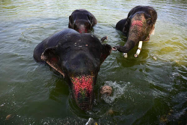 Severe heatwave grips Raj, Barmer hottest in country at 48.3°C