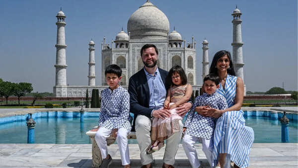'JD Vance’s brown kids are less American': Michigan Democrat attacks US VP, makes crude joke about Usha Vance