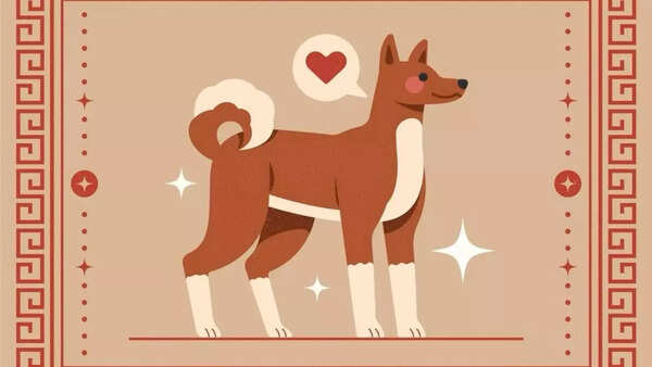 Chinese Dog Zodiac 2026 Horoscope: Jupiter Brings Healing, But Only If You Survive the First Half Storm