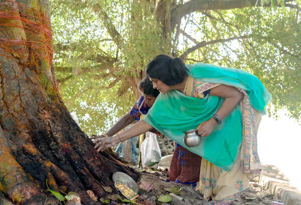 Chains of two women stolen during Vat Savitri Puja