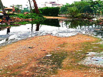 Sewage from tertiary drain poses pollution threat