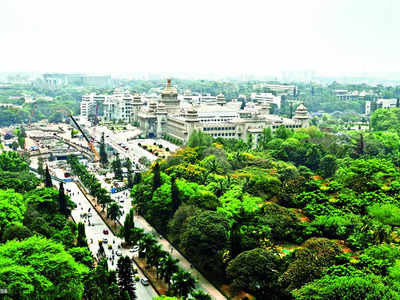 Tap the Chatter: What aspects of Bengaluru’s climate contribute to your belief that it’s the best city to live in