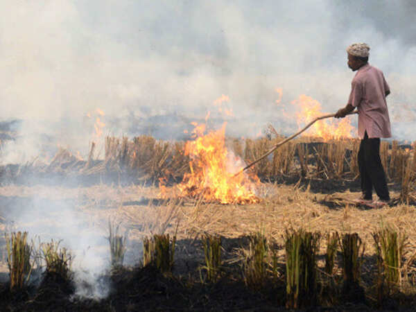 Delhi's air quality may improve as UP, Haryana, Punjab take steps to discourage stubble burning