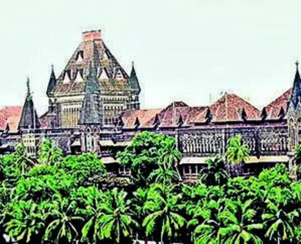 Agniveers, soldiers not on par for service benefits: Centre to HC