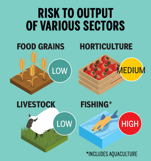 Why agriculture sector has been a bright spot in lockdown gloom