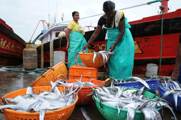 Fish catch sees rise in DK, but fuel price spike adds to fishermen’s woes
