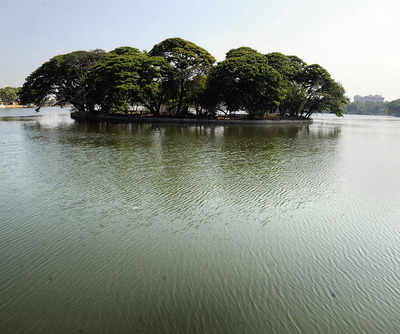 ‘Fishing in Ulsoor Lake is the only livelihood for us’