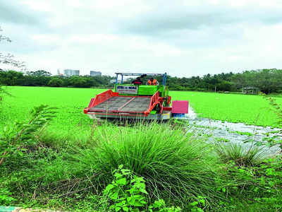 Target: Let’s restore this lake at all costs