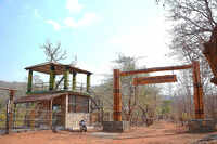 Jungle safari through forests, waterfalls and 21 river crossings begin at Bhoramdeo wildlife sanctuary