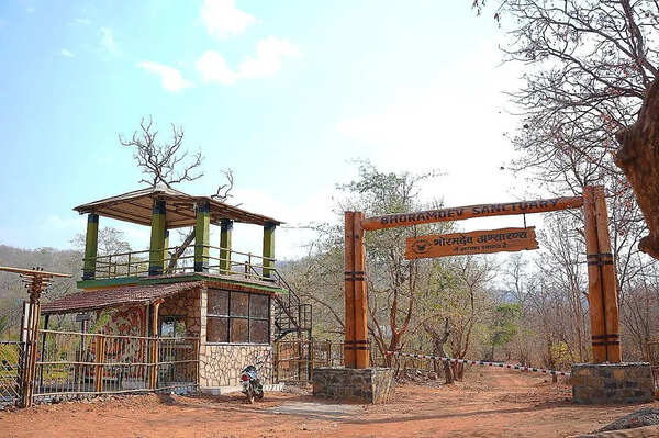 Jungle safari through forests, waterfalls and 21 river crossings begin at Bhoramdeo wildlife sanctuary