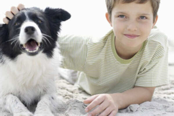 Give your dog a summer look