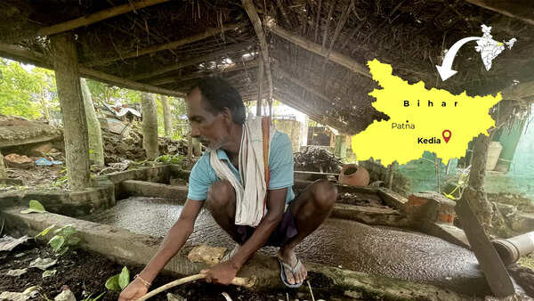 How this small Bihar village turned fully organic