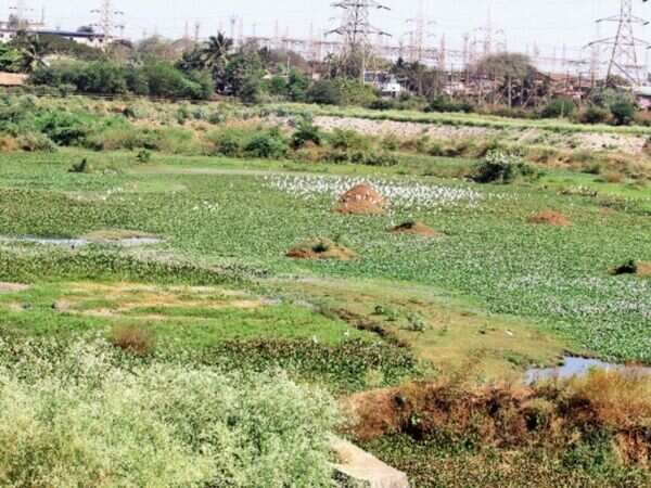Development of Kempkeri as picnic spot may take a few more months