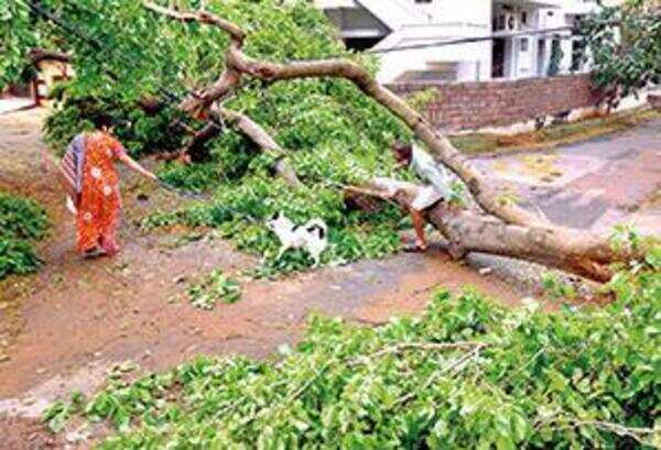 Andhra Pradesh: Summer showers bring relief, but heatwaves likely in April & May