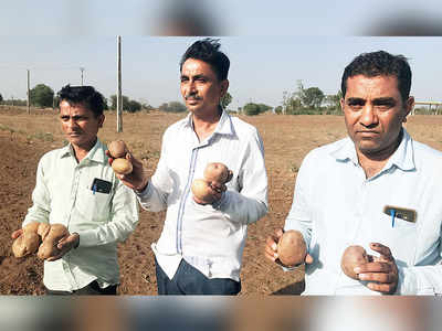 Pepsi versus farmers