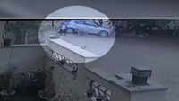 On cam: Pack of stray dogs attack child in Jaipur 