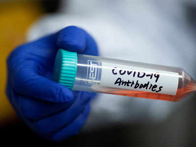 Antibodies in body for 3 months: Study
