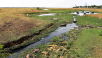 Chennai: Lack of urban planning leads to water bodies slowly getting poisoned with sewage 
