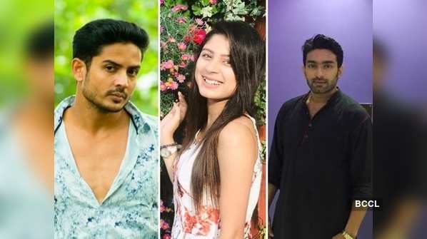 ​From Jeetu Kamal to Adrija Roy: TV actors reveal a good habit they want to develop this New Year​