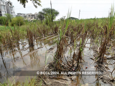 Agitation soon if no relief to rain-hit farmers, warns Akhil Bharatiya Kisan Sabha