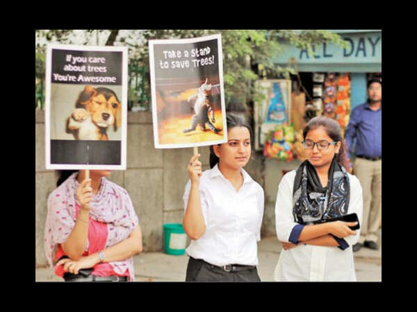 How green was my city, recall Delhiites