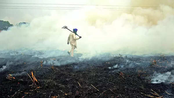 How farm fires, bad air have come back to bite AAP again